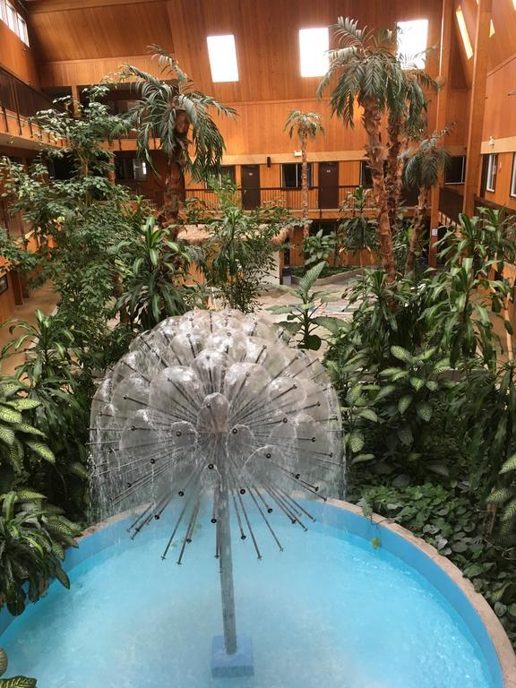 Hotel Super 8 By Wyndham George 4*